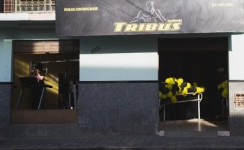 Academia Tribus