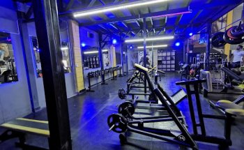 World Shape Fit Academia