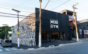 MobGym