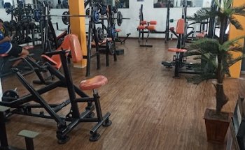 Sport Life