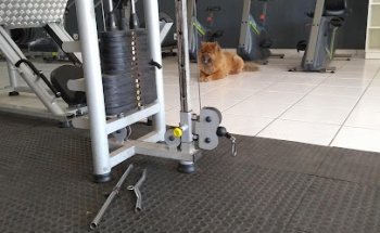 Academia Treino
