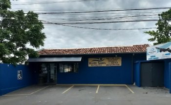 Vicente Soares Natação