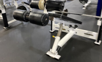 Total Body Fitness