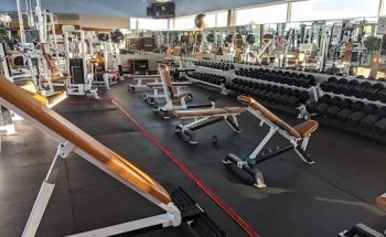 Optimum Health Inc.
