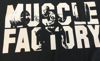 Yanick's Muscle Factory