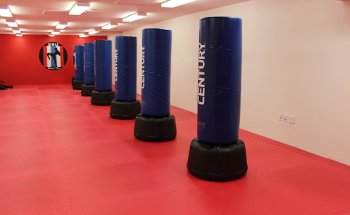 Yang's Martial Arts Centre