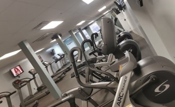 Work Out World Inc