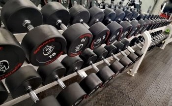Maximum Fitness