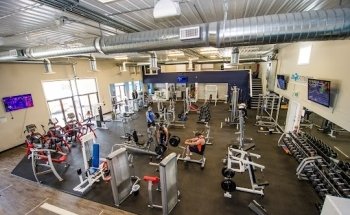 Dirk Fitness