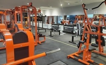 Hustle Culture Fitness Club