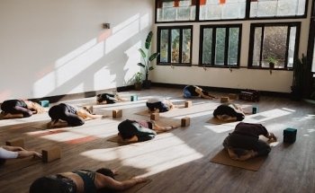 Alchemy Studio