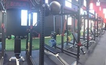 Momentum Performance