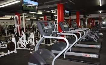 Gym Expert