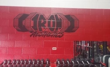 Iron Aesthetics training studio