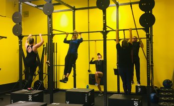 Essential Fitness + Nutrition