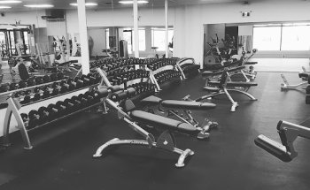 Chop Shop Physiques - Stony Plain