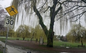 Douglas Park Outdoor Fitness Circuit