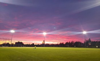 Aldergrove Athletic Park