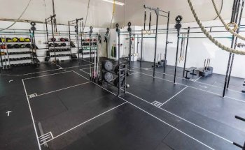 Rise Fitness Collective