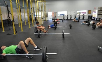 Fuel Lifestyle and Performance