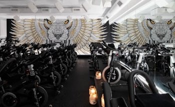 Spin Society