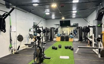 New Body Alliance