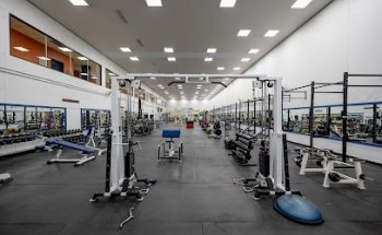 Optimal Sports Plus