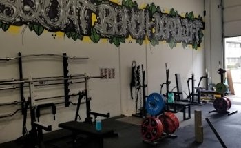 Jungle Gym Lift House