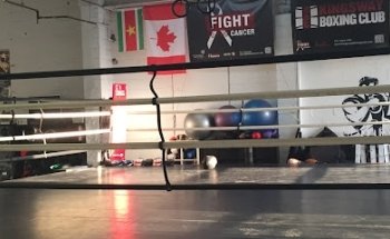 Kingsway Boxing Club