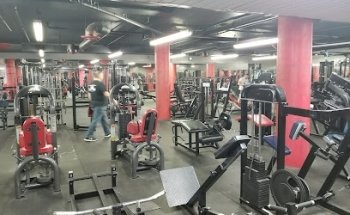 FlexPlex Muscle and Fitness