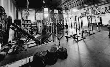 Viking Strength