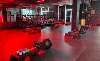 CORE Spin Club - Mahogany