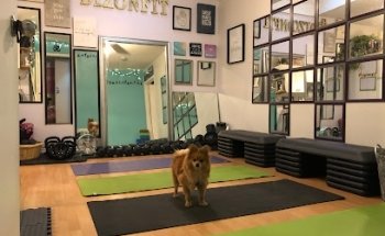 DIZONFIT Training Studio