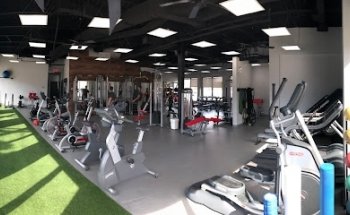 Custom Conditioning