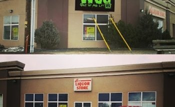 World Class Training and Nutrition