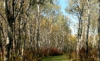 Rocanville Cross Country Ski
