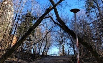 Cedarvale Park Calisthenics