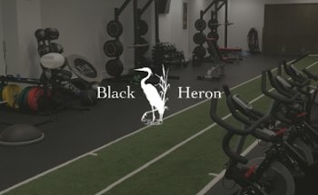 Black Heron