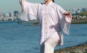 SYL Wushu Taiji Qigong Institute 梁守渝武術太極氣功學院