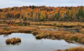 Marais du nord start
