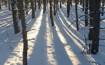 Meadow Trail Head - Elgar Dr