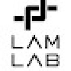 LamLab Fitness Mastery - Oakville Personal Training