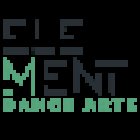 Element Dance Arts