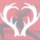 WildHeart Shop & Studio (Lululemon Official Seller)