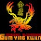 Gum Ying Hapkido Inc - Richmond Martial Arts Studio