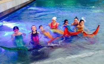 Swimming School Moby Dick