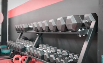 Personnal Trainer
