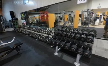 Body Fit di Rainer Florian e Co - Palestra