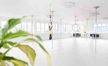 Soul Pole