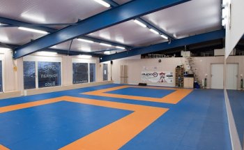 Yoseikan Budo Visp